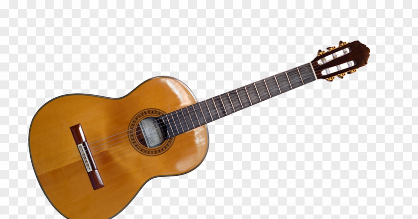 Guitar Electric Acoustic Bass Musical Instruments PNG