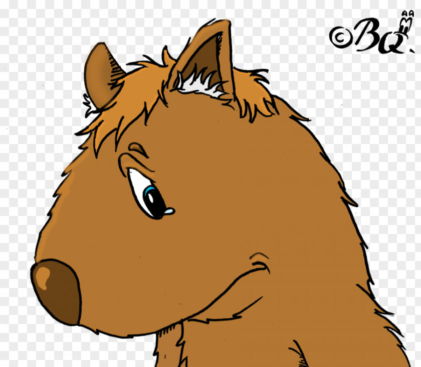 Cartoon Wombat Mane Mustang Donkey Halter Cat PNG