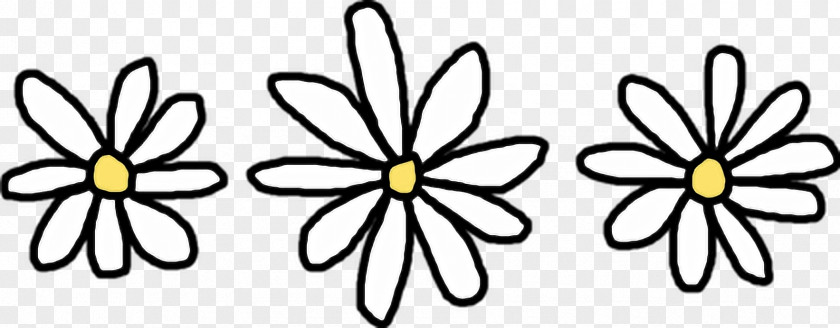 Drawing Flower Common Daisy Clip Art PNG