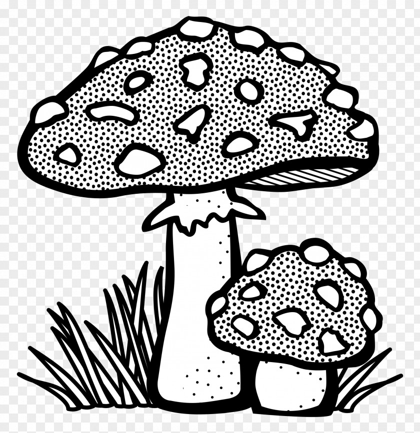 Mushroom Coloring Book Clip Art PNG