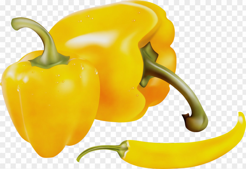 Plant Paprika Yellow Pepper Bell Natural Foods Peppers And Chili PNG