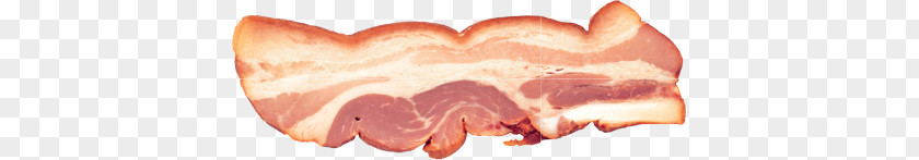 Bacon PNG clipart PNG