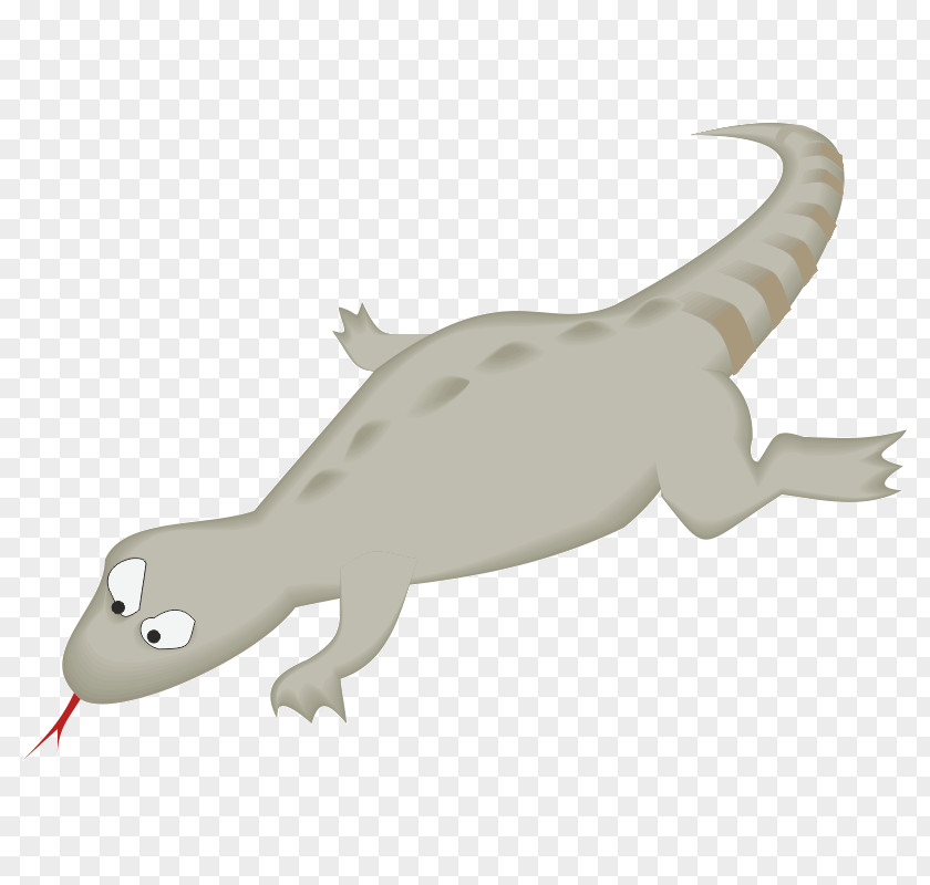 Lizard Vector Reptile Phrynocephalus Frontalis Animal Tail PNG