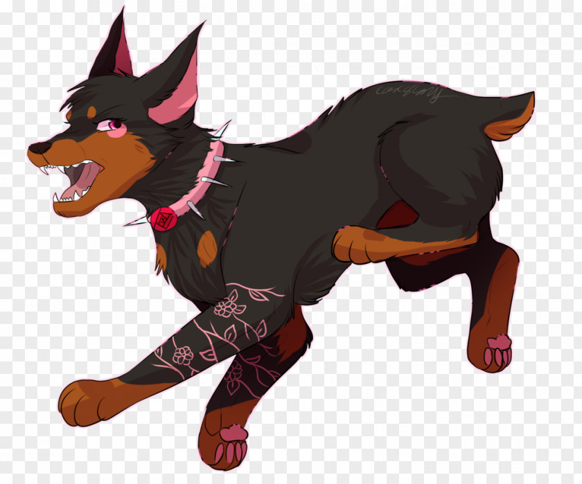 Rosie Ormskirk Terrier Australian Kelpie Pinscher Guard Dog Cattle PNG