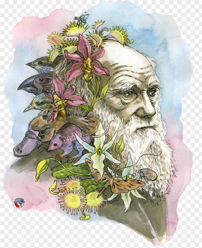 Scientist The Beak Of Finch: A Story Evolution In Our Time Voyage Beagle Theory Darwin Day PNG