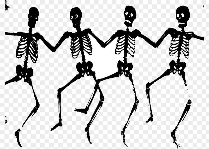 Skeleton Human Bone Danse Macabre Death PNG