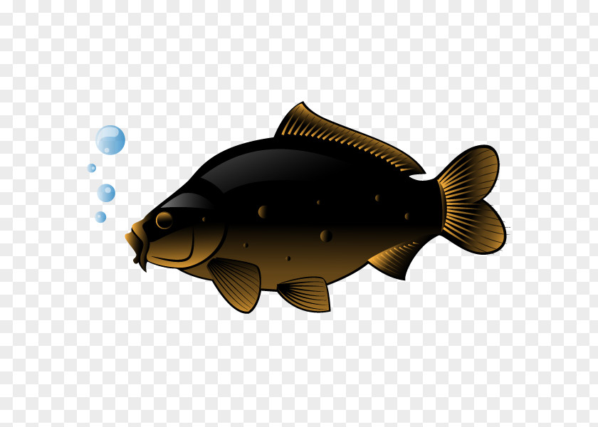 Vector Fish Swordfish Freshwater Clip Art PNG