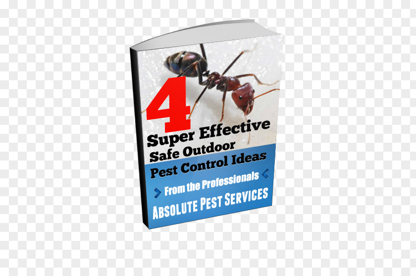 Ant Banner PNG