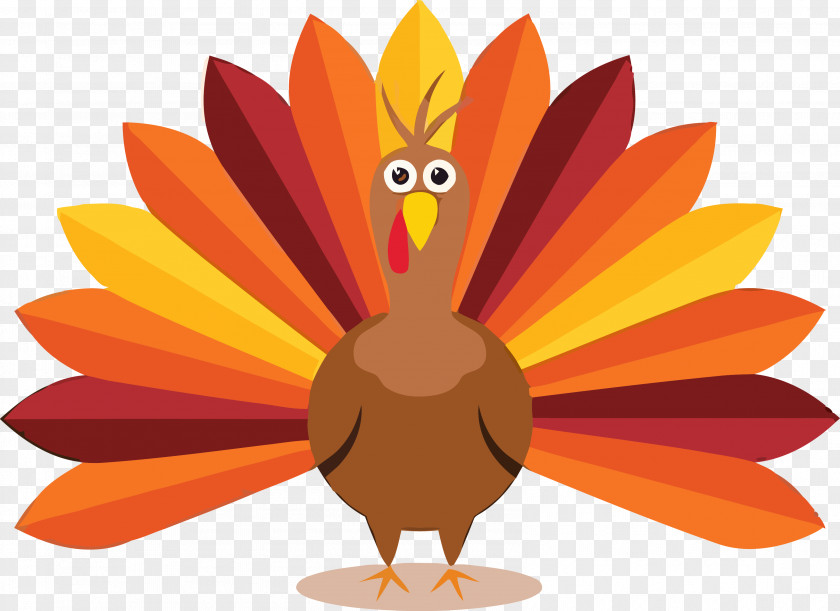 Bird Plant Thanksgiving Turkey PNG