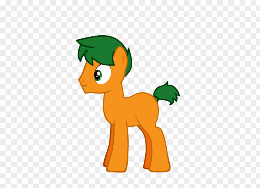 Horse Pony Equestria Comics Finder Series PNG