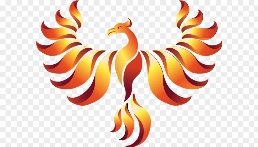 Phoenix Logo Rooster Simurgh PNG