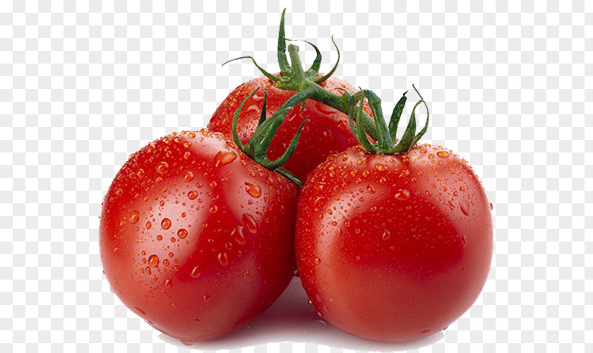 Tomato Organic Food Eating Health PNG