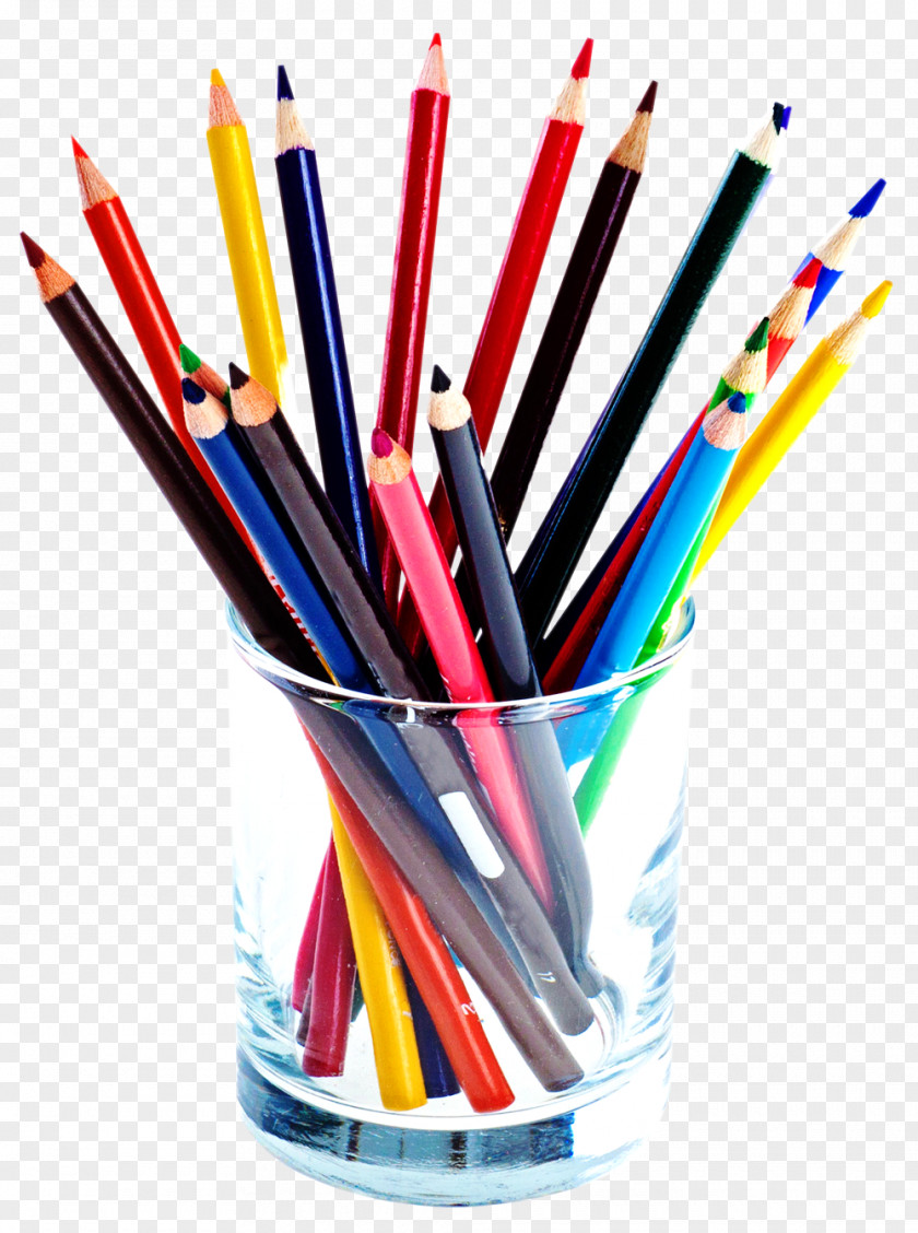 Color Pencils Colored Pencil PNG