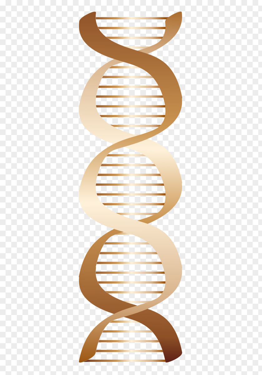DNA Nucleic Acid Clip Art PNG
