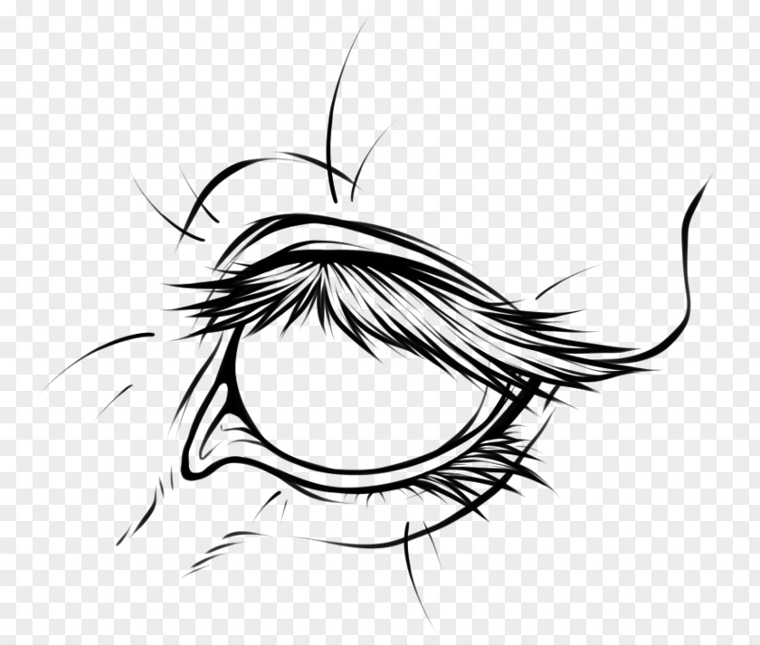 Horse Head Line Art Eye Drawing Clip PNG