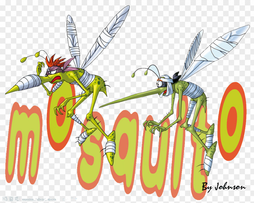 Mosquito Cartoon Illustration PNG