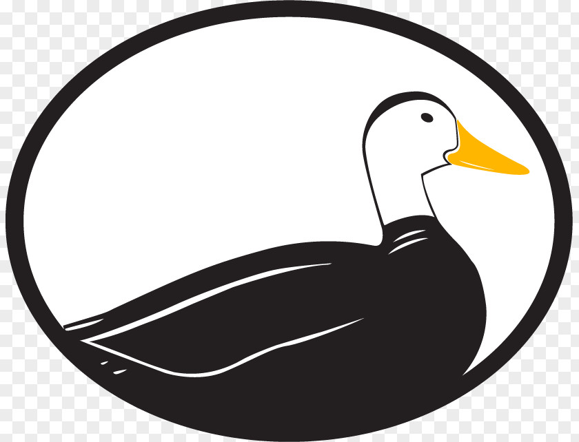 Odd Ducks Duck Media Clip Art Graphic Design Logo Marketing PNG
