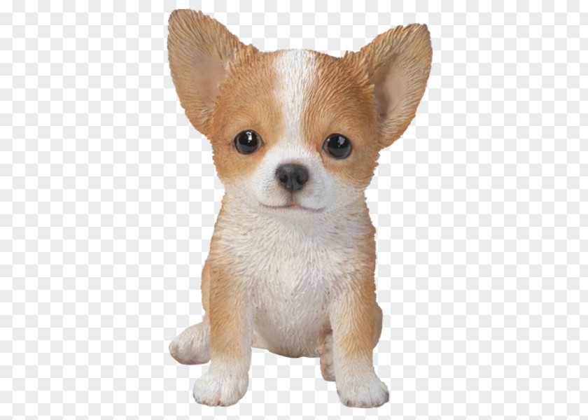 Puppy Chihuahua Ornament Art Statue PNG