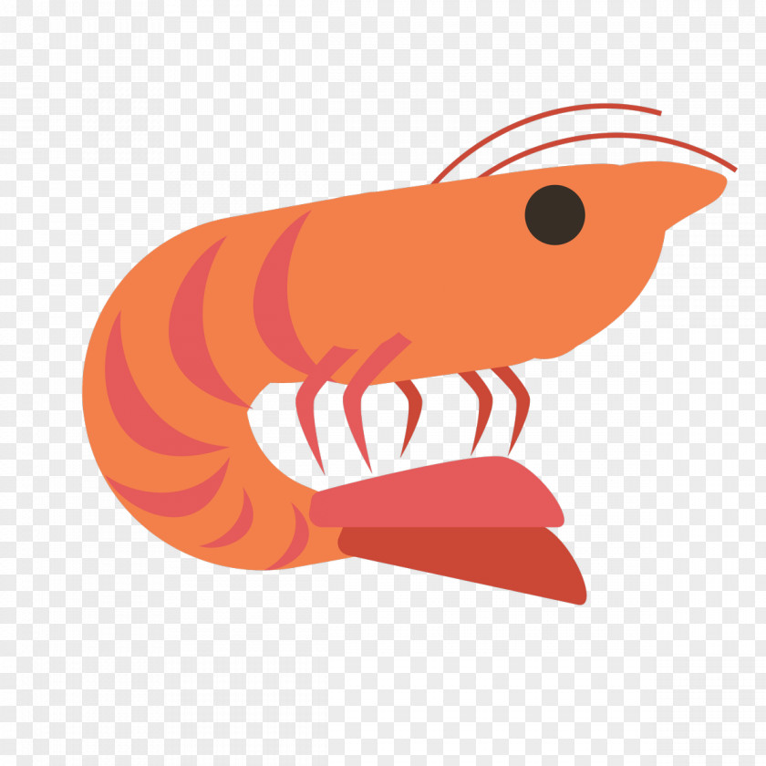 Shrimp Cartoon Clip Art PNG