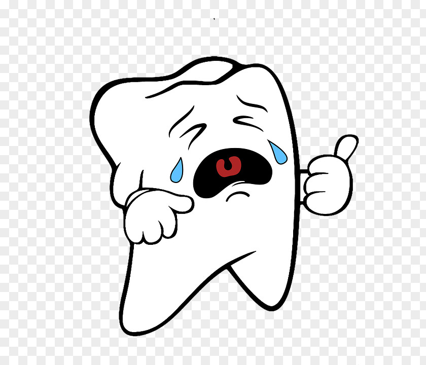 Teeth Cartoon Clip Art Dentistry Human Tooth PNG