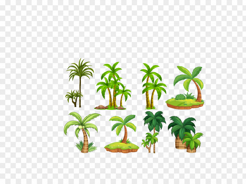 Vector Green Tropical Plant Coconut Beach Arecaceae Royalty-free Clip Art PNG