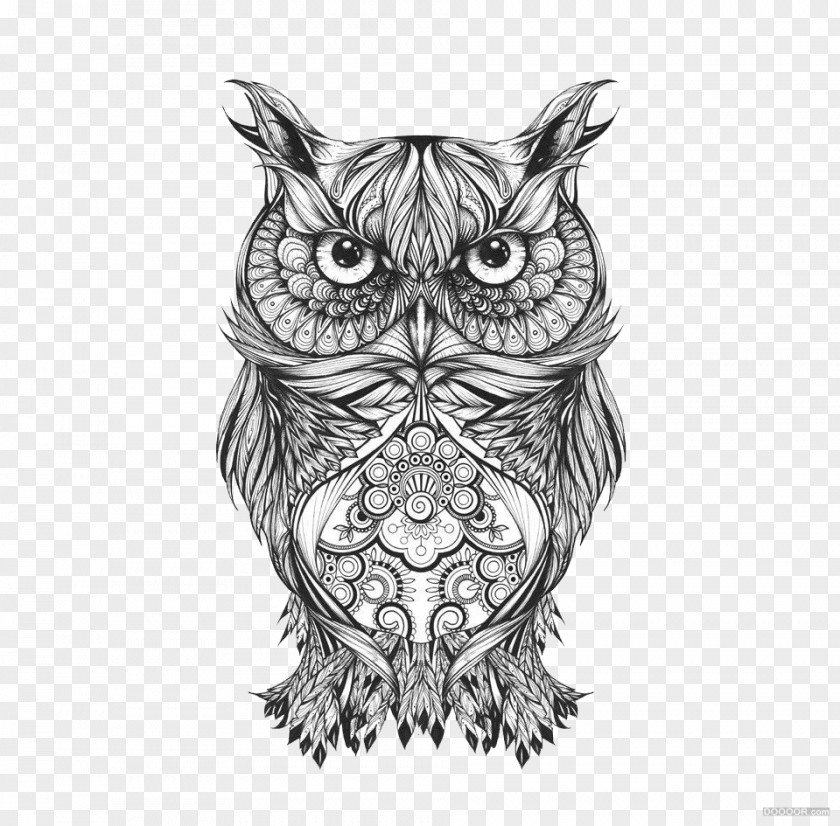 Black And White National Pattern Owl Visual Arts Drawing Sketch PNG