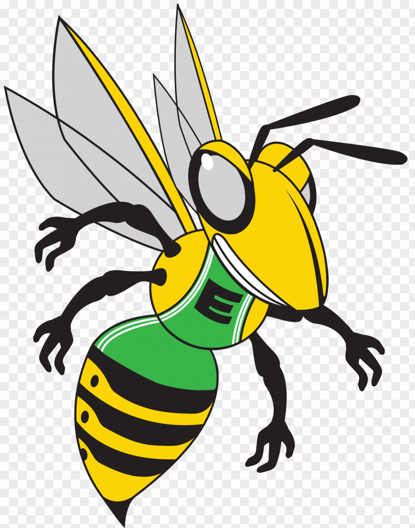 Hornet Honey Bee Organization Clip Art PNG