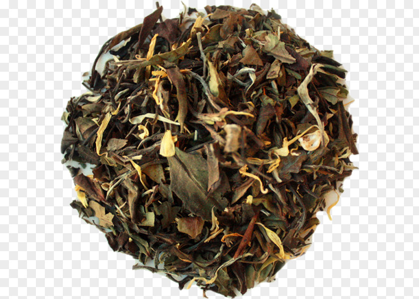 Jamaican Sorrel Tea Dianhong Darjeeling Assam Nilgiri Oolong PNG