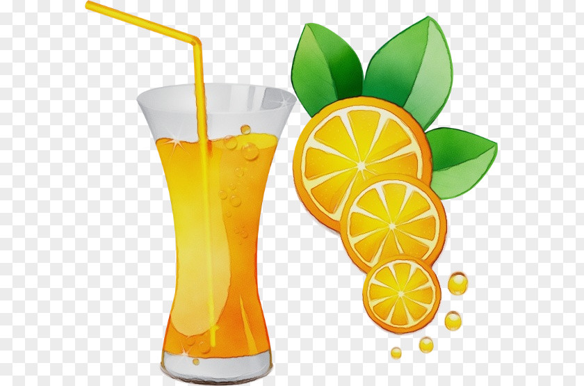 Orange Food PNG