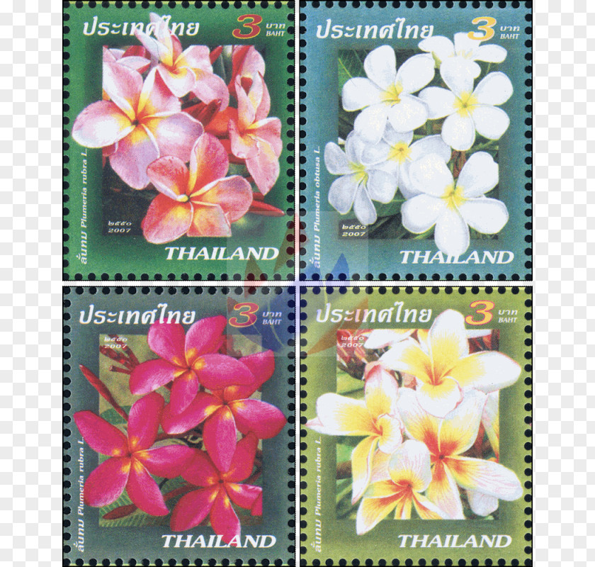 Plumeria 14 2 1 Thailand Flowering Plant Postage Stamps Plants PNG