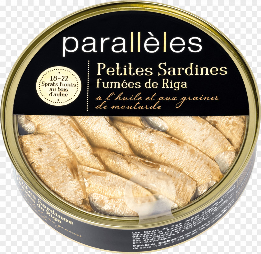 SARDINES European Pilchard Fish Conserve De Sardines à L'huile Canning Sprat PNG