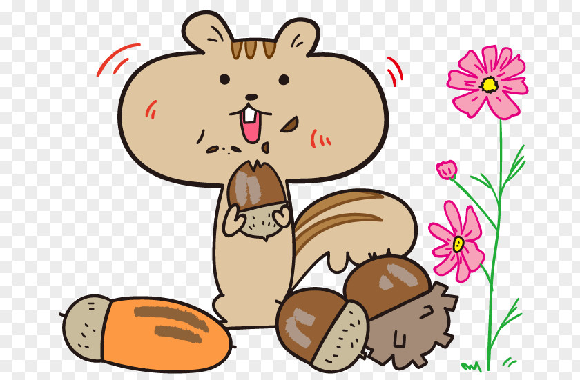 Squirrel Illustration Autumn Whiskers Food PNG
