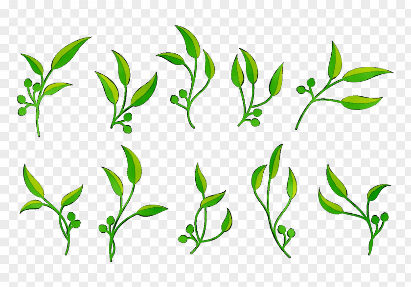 Twig Plant Stem Leaf Flower Clip Art PNG