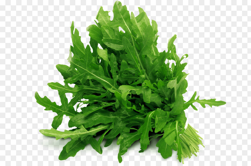 Vegetable Parsley Arugula Food Modified Atmosphere PNG