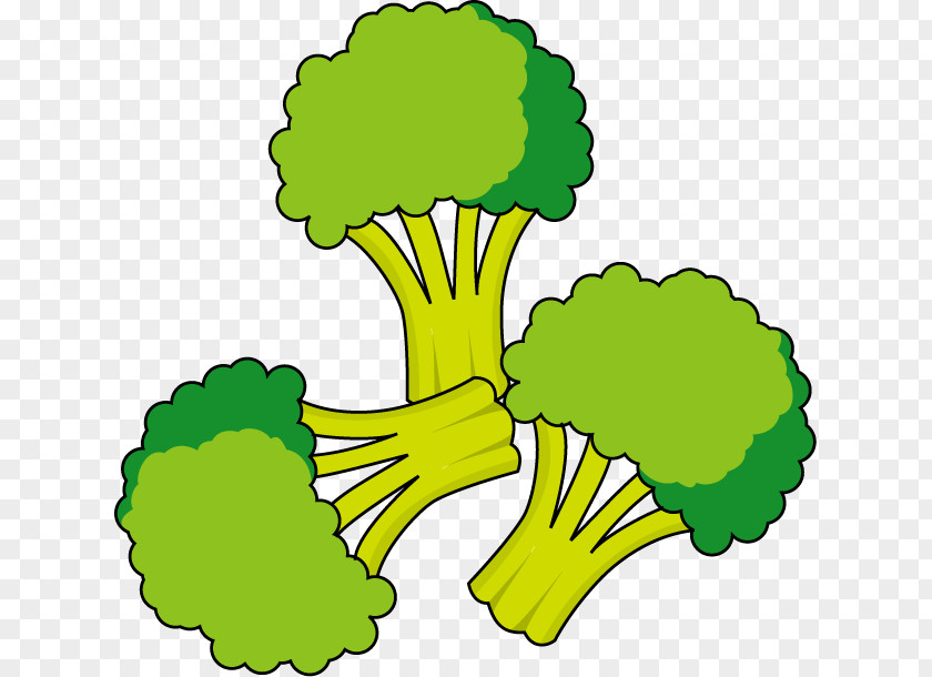 Clip Art Food Potage Sprouting Broccoli Illustration PNG