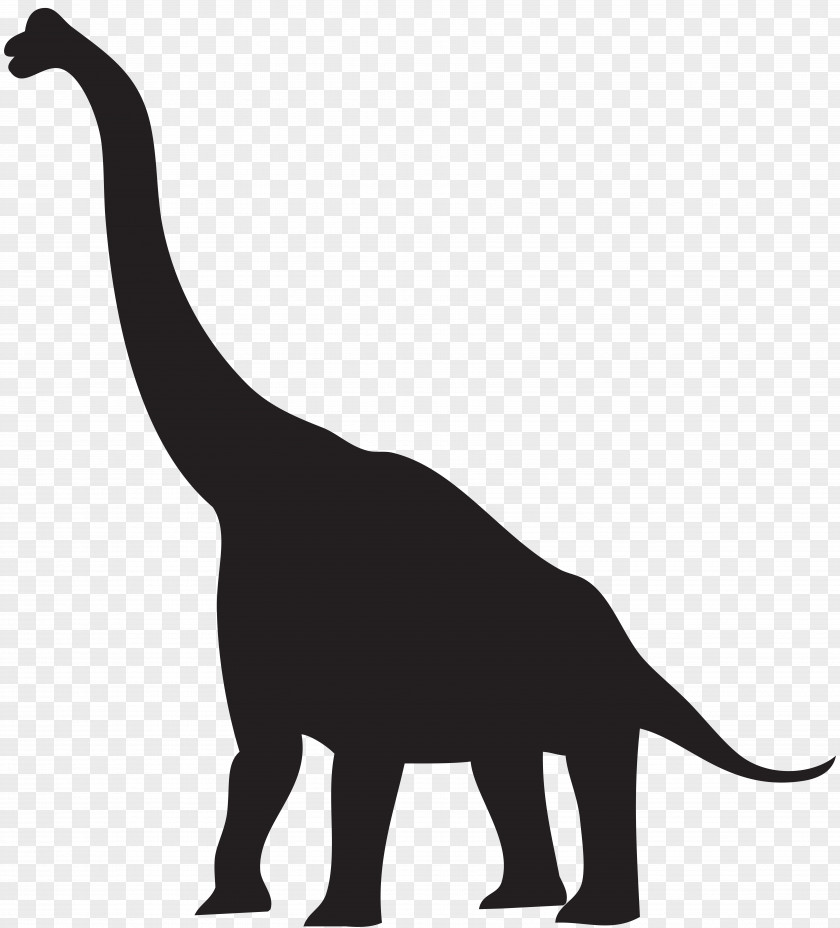 Dinosaur Footprints Tyrannosaurus Silhouette Clip Art PNG