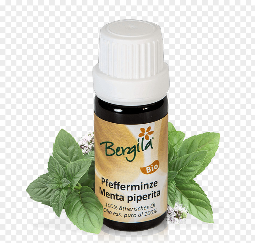 Oil Herb Essential Peppermint Pine PNG