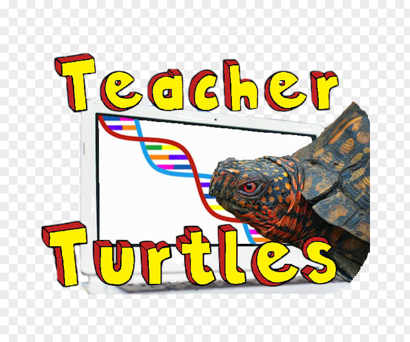 Turtles Material Logo Project Teacher Brand PNG