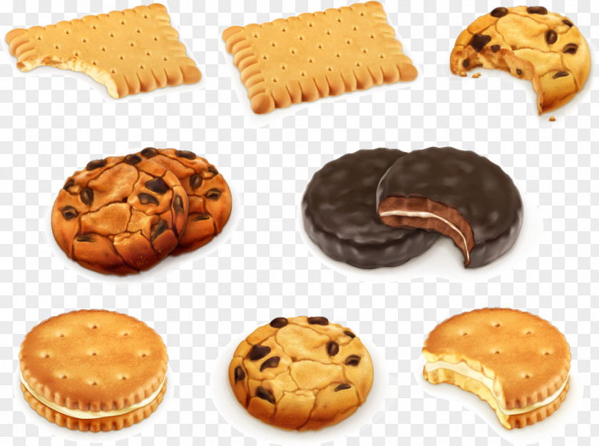 Vector Cookies Chocolate Chip Cookie Biscuit Royalty-free PNG