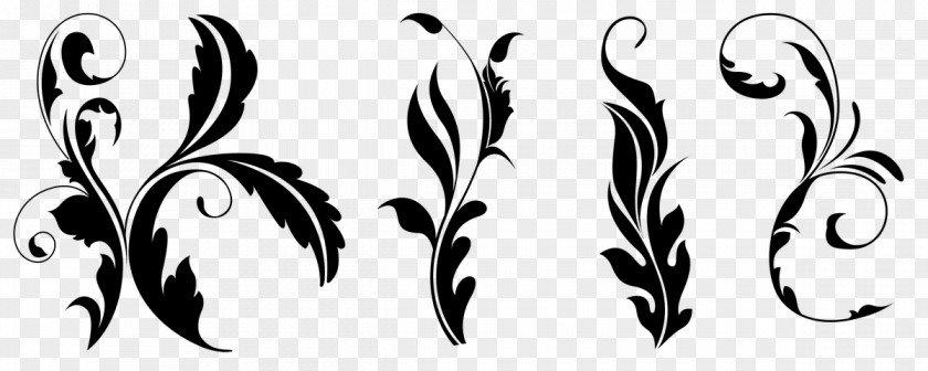 Feather Plant Leaf Silhouette PNG