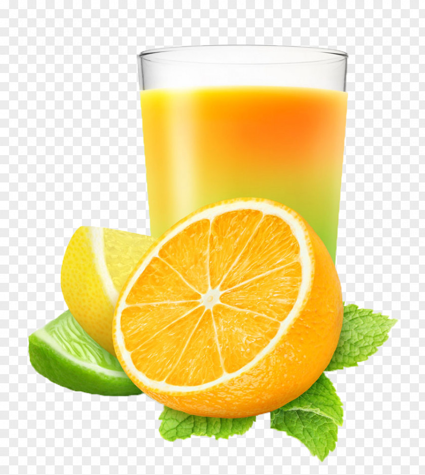 Fresh Lemon Juice Grapefruit Lime Orange PNG