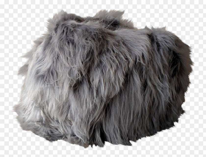 Fur Snout Grey PNG
