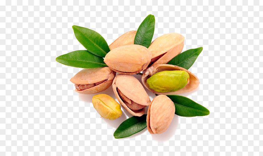 Pistachio Day Nuts Dried Fruit Peanut PNG