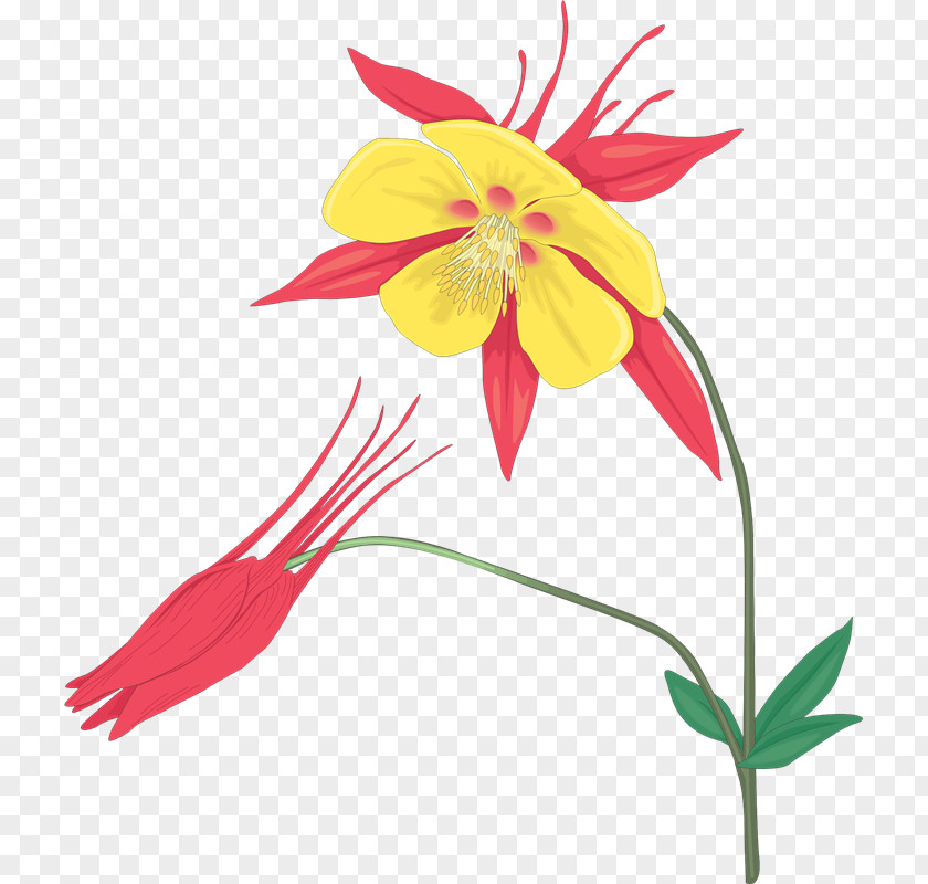 Plantas Floral Design Clip Art PNG
