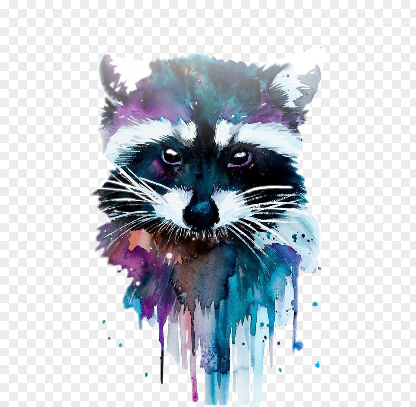 Raccoon Watercolor Painting Art Canvas Print PNG