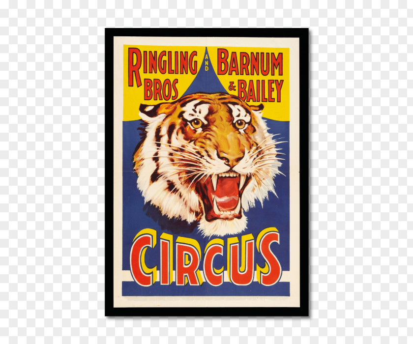 Tiger United States Of America Ringling Bros. And Barnum & Bailey Circus Brothers PNG