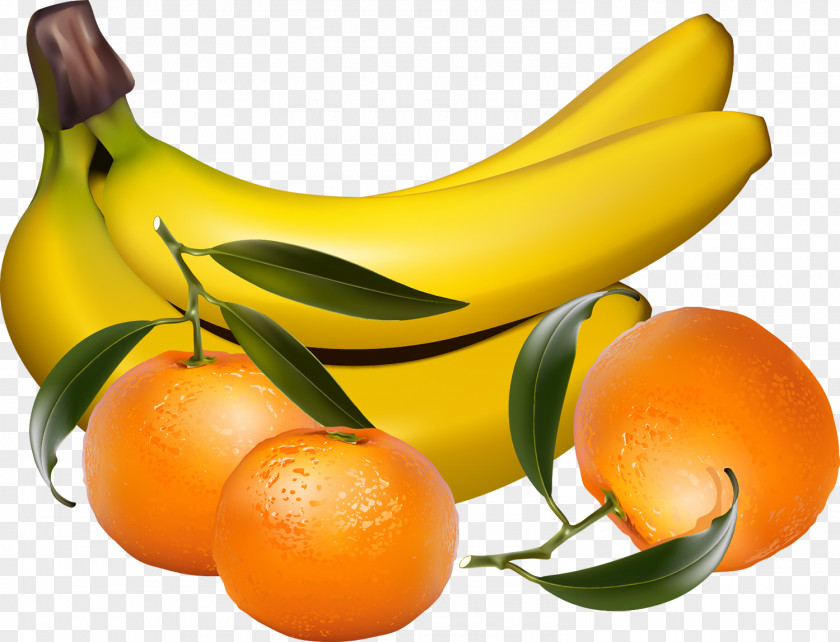 Banana Tropical Fruit Clip Art PNG