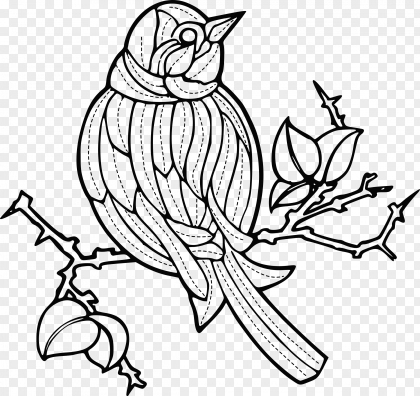 Bird Line Art Clip PNG