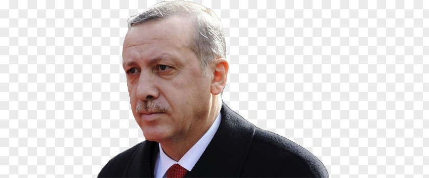 Erdogan Recep Tayyip Erdoğan Politician Party Leader Business Executive PNG