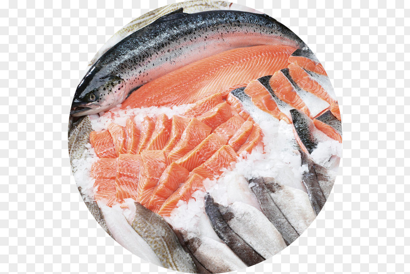 Fish Frozen Food Defrosting Seafood Freezing PNG